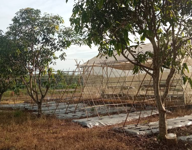 Taman Agroforestri Horti
